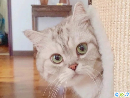 有趣的靈魂朋友圈說說 不和30°C以下的城市的人做朋友2