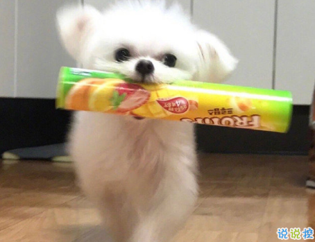 發(fā)一條有有趣的朋友圈說說 夏天那么熱暗戀會變成熱戀嗎14