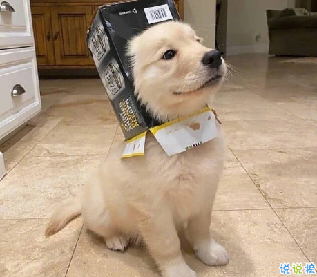 發(fā)一條有有趣的朋友圈說說 夏天那么熱暗戀會變成熱戀嗎13