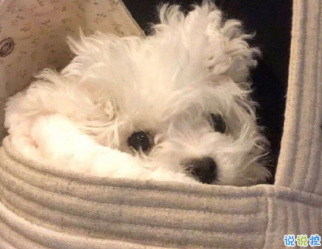 發(fā)一條有有趣的朋友圈說說 夏天那么熱暗戀會變成熱戀嗎11