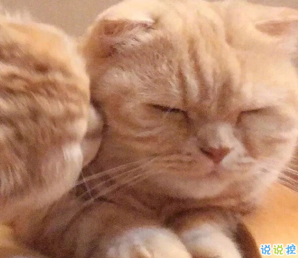 發(fā)一條有有趣的朋友圈說說 夏天那么熱暗戀會變成熱戀嗎10