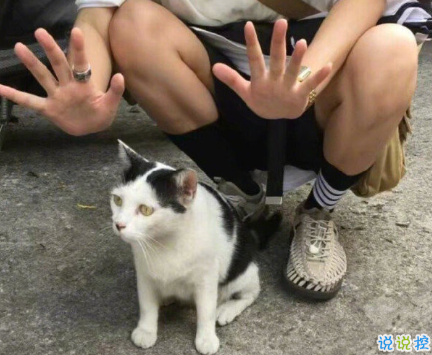 發(fā)一條有有趣的朋友圈說說 夏天那么熱暗戀會變成熱戀嗎9