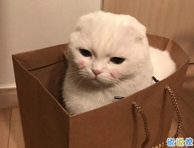 發(fā)一條有有趣的朋友圈說說 夏天那么熱暗戀會變成熱戀嗎8