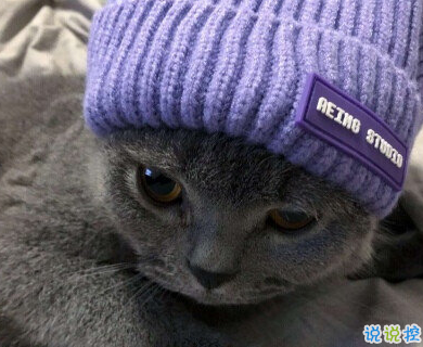 發(fā)一條有有趣的朋友圈說說 夏天那么熱暗戀會變成熱戀嗎7