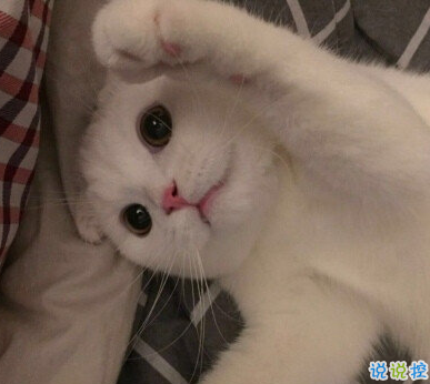 發(fā)一條有有趣的朋友圈說說 夏天那么熱暗戀會變成熱戀嗎5