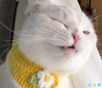 發(fā)一條有有趣的朋友圈說說 夏天那么熱暗戀會變成熱戀嗎4