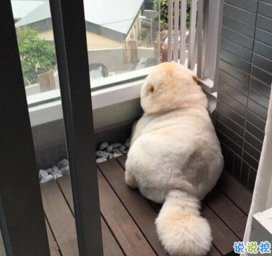 發(fā)一條有有趣的朋友圈說說 夏天那么熱暗戀會變成熱戀嗎3