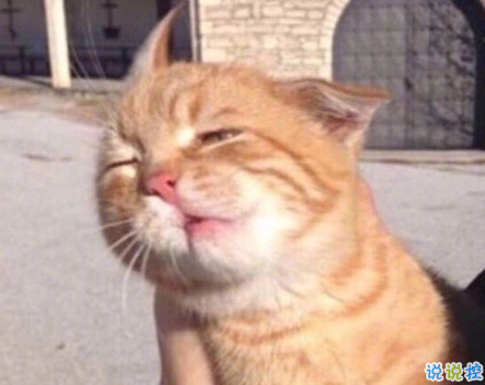 發(fā)一條有有趣的朋友圈說說 夏天那么熱暗戀會變成熱戀嗎2