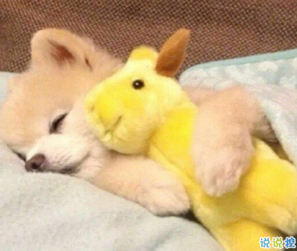 發(fā)一條有有趣的朋友圈說說 夏天那么熱暗戀會變成熱戀嗎1