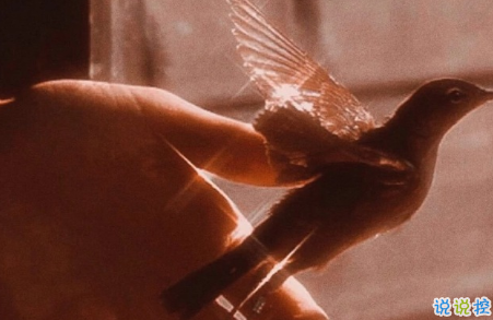 保持清醒和理性的說(shuō)說(shuō) 所有不合適的人最終總會(huì)分散3