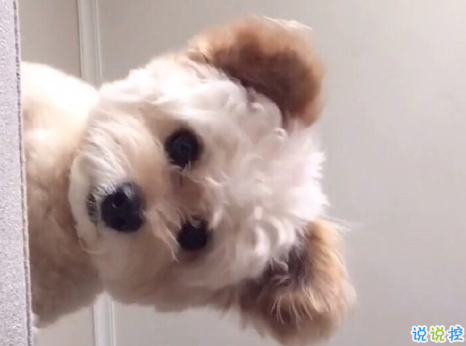 保持清醒和理性的說(shuō)說(shuō) 所有不合適的人最終總會(huì)分散4