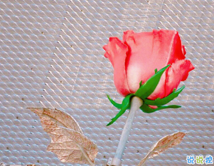 朋友圈有個性的說說高逼格 別丟掉了你該有的快樂14