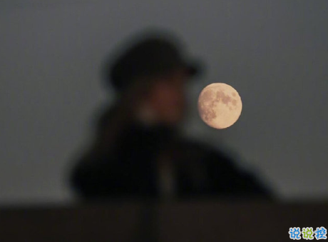 七夕情人節(jié)超甜暖心的句子 我喜歡的樣子你都有2