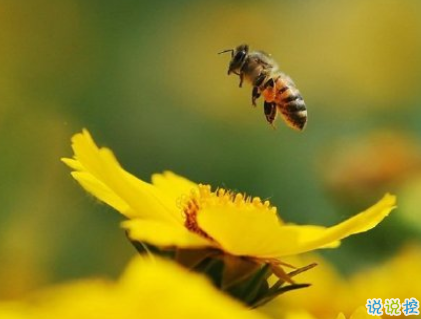 2020處暑節(jié)氣說(shuō)說(shuō)精選 處暑節(jié)氣關(guān)心問(wèn)候祝福語(yǔ)2