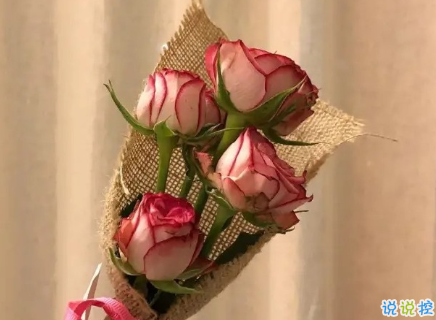 七夕微信示愛表白密碼 情人節(jié)微信翻譯的表白情話1