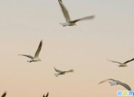 讓人看了想哭的抑郁句子 如果想回你消息早就回了2