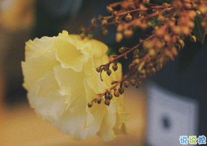 有哲理又很心酸的句子 笑著講述那些曾讓你哭的瞬間1