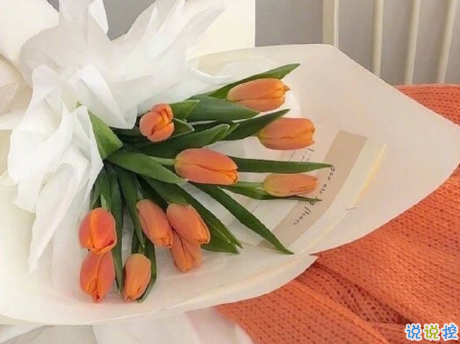 發(fā)朋友圈說說的喪句帶圖片 我解決人際關系唯一的方法就是放棄10