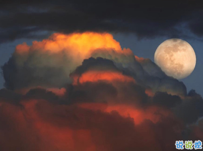 最透徹的人生感悟說(shuō)說(shuō) 過(guò)度的傷心卻可以證明智慧的欠缺2