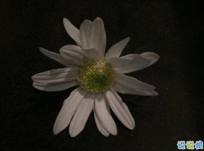 既現(xiàn)實(shí)又深?yuàn)W的句子圖片精辟 所有失去的會(huì)以另一種方式歸來(lái)2