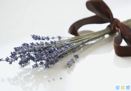 把事和人看透的說說圖片 并不是所有的喜歡都會有結(jié)果3