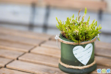 把事和人看透的說說圖片 并不是所有的喜歡都會有結(jié)果8