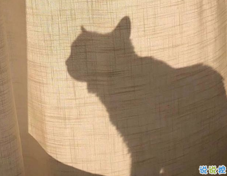 把事和人看透的說說圖片 并不是所有的喜歡都會有結(jié)果11