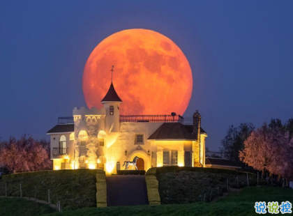 把事和人看透的說說圖片 并不是所有的喜歡都會有結(jié)果15