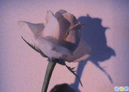 七夕發(fā)朋友圈表白說說必點贊 你的名字是我見過最短的情詩2