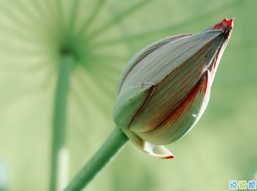 2020最新處暑祝福語說說 處暑節(jié)氣勵(lì)志說說精選4