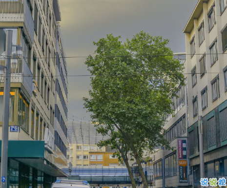 2020最新處暑祝福語說說 處暑節(jié)氣勵(lì)志說說精選15