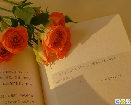 一種說不出的心情句子低落 一次一次的小失望成了致命傷1