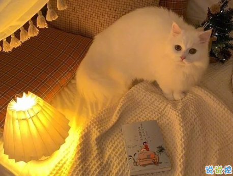 網(wǎng)易云經(jīng)典熱評(píng)喪句虐心 不是歌變好聽是我們都有故事了4