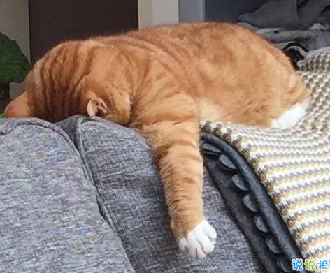 無聊想發(fā)個朋友圈搞笑說說 自我介紹一下我是喜歡你的膽小鬼1