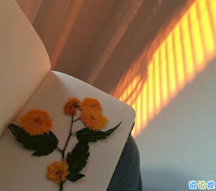 2020七夕浪漫的句子帶圖片 七夕情人節(jié)適合表白的情話說說13