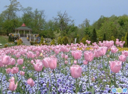 2020七夕節(jié)朋友圈特別的文案 不想做可愛的人只想做愛你的人2