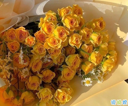 讓自己勵(lì)志的句子圖片 對(duì)他人減少依賴(lài)降低期待愛(ài)自己4