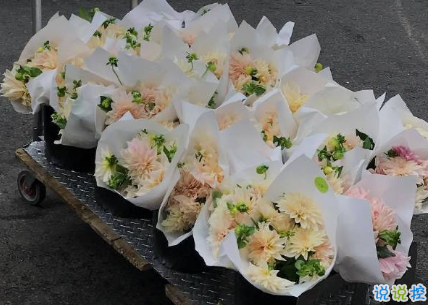 讓自己勵(lì)志的句子圖片 對(duì)他人減少依賴(lài)降低期待愛(ài)自己1