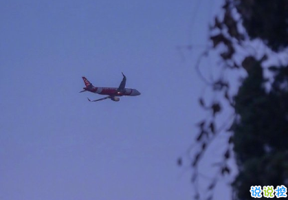 既含蓄又甜的情話句子 想帶你去吃烤紫薯然后對你說我紫薯與你2