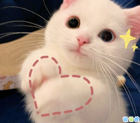 逗人開(kāi)心又撩人的搞笑說(shuō)說(shuō) 今天淋雨了真擔(dān)心我會(huì)可愛(ài)到發(fā)芽1