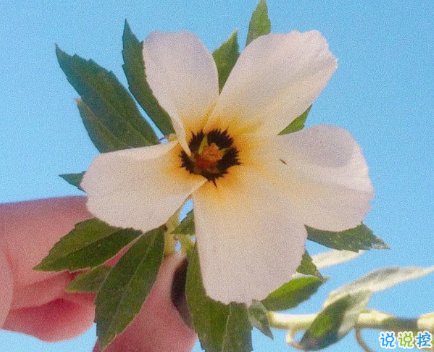 高冷又隨性的一句話三觀超正 生活就是一邊點(diǎn)火一邊冒煙2