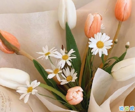 朋友圈扎心的說說觸動內(nèi)心 年齡總是如期而來惆悵總是不速之客2