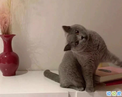 生活平淡的說說唯美簡單 陽光那么好何必自尋煩惱2