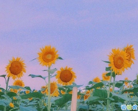 2020九月開學(xué)心情說說發(fā)朋友圈 正在單曲循環(huán)播放開學(xué)了1