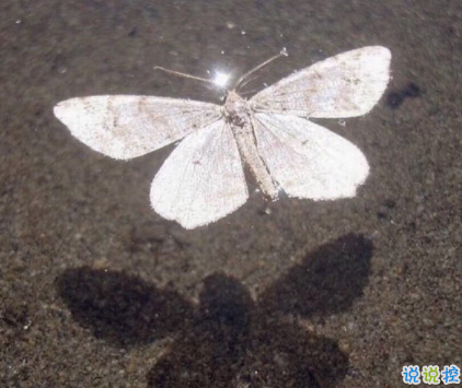 八月再見九月你好朋友圈說說 允許一些錯(cuò)過迎接對(duì)的相遇5