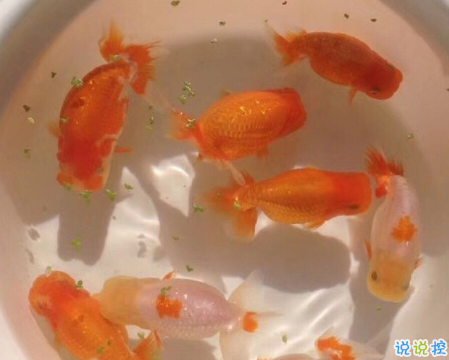 八月再見九月你好朋友圈說說 允許一些錯(cuò)過迎接對(duì)的相遇9