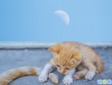 八月再見九月你好朋友圈說說 允許一些錯(cuò)過迎接對(duì)的相遇15