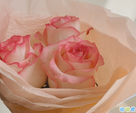 2020迎接九月正能量說說勵志 新的九月新的開始說說1