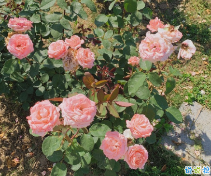 2020迎接九月正能量說說勵志 新的九月新的開始說說4