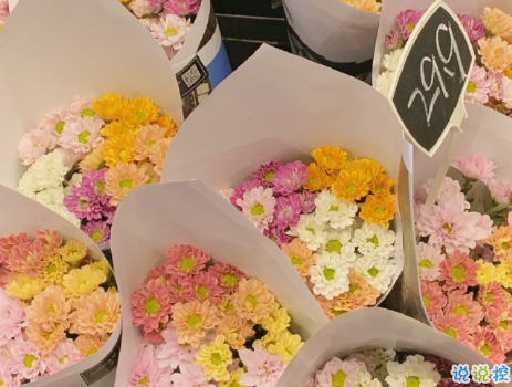 2020迎接九月正能量說說勵志 新的九月新的開始說說6